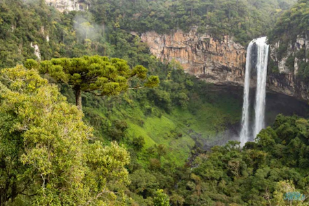 parque caracol casc pq.png