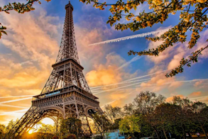 paris 1 293 x 196.png