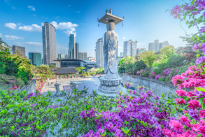 coreia sul 2 293.png